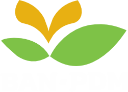 BAN-PDM BALI Logo